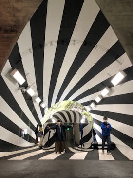 清津峡渓谷トンネルに投稿された画像（2021/5/5）