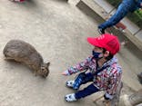 群馬サファリパークに投稿された画像（2021/5/5）