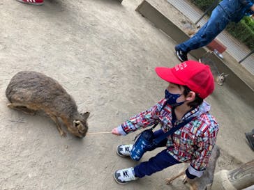 群馬サファリパークに投稿された画像（2021/5/5）