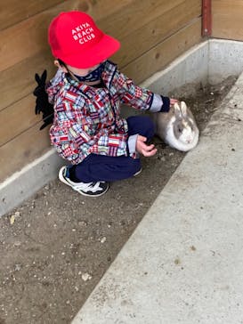 群馬サファリパークに投稿された画像（2021/5/5）