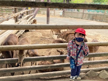 群馬サファリパークに投稿された画像（2021/5/5）