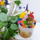 ずこうしつ〜sugamo〜に投稿された画像（2021/5/5）