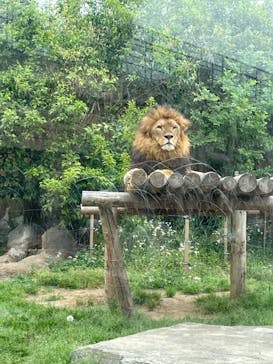 東武動物公園に投稿された画像（2021/5/5）