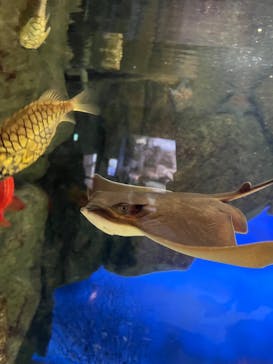 鳥羽水族館に投稿された画像（2021/5/5）