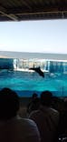 新江ノ島水族館に投稿された画像（2021/5/5）