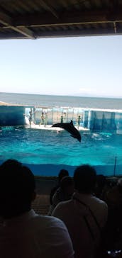 新江ノ島水族館に投稿された画像（2021/5/5）