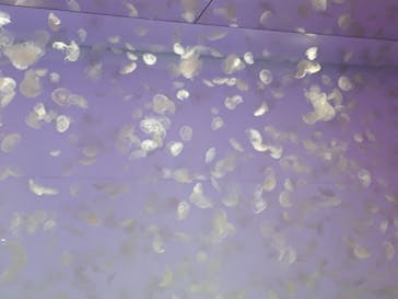 アクアワールド茨城県大洗水族館に投稿された画像（2021/5/5）