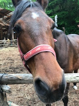 クリオステーブルに投稿された画像（2021/5/5）