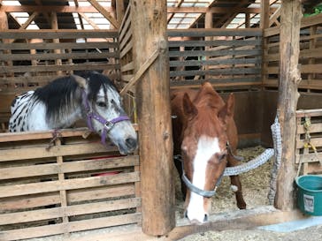 クリオステーブルに投稿された画像（2021/5/5）