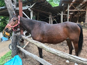 クリオステーブルに投稿された画像（2021/5/5）