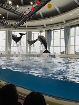 アクアワールド茨城県大洗水族館に投稿された画像（2021/5/5）