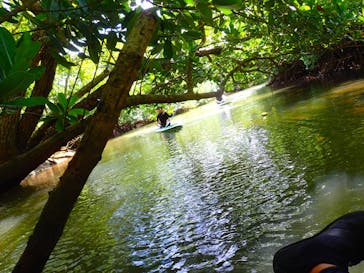 西表島 ADVENTURE PiPi（アドベンチャーピピ）に投稿された画像（2021/5/5）