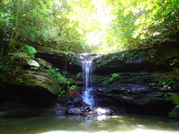 西表島 ADVENTURE PiPi（アドベンチャーピピ）に投稿された画像（2021/5/5）