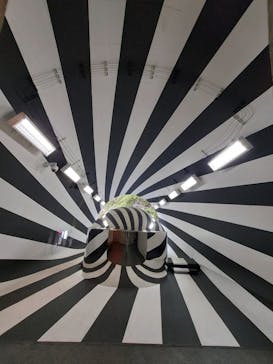 清津峡渓谷トンネルに投稿された画像（2021/5/5）