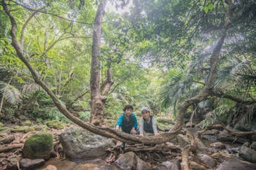 西表島 ADVENTURE PiPi（アドベンチャーピピ）に投稿された画像（2021/5/5）