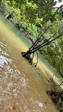 西表島 ADVENTURE PiPi（アドベンチャーピピ）に投稿された画像（2021/5/5）