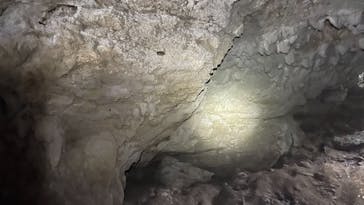 西表島 ADVENTURE PiPi（アドベンチャーピピ）に投稿された画像（2021/5/5）