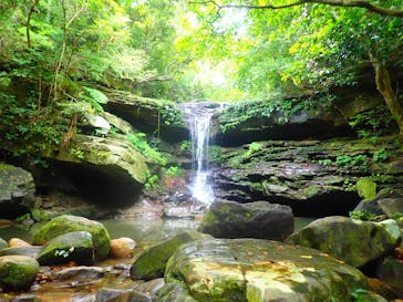 西表島 ADVENTURE PiPi（アドベンチャーピピ）に投稿された画像（2021/5/5）