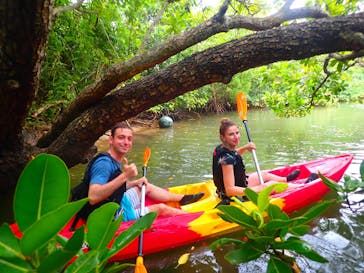 西表島 ADVENTURE PiPi（アドベンチャーピピ）に投稿された画像（2021/5/5）