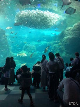 新江ノ島水族館に投稿された画像（2021/5/5）