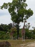 よこはま動物園ズーラシアに投稿された画像（2021/5/5）