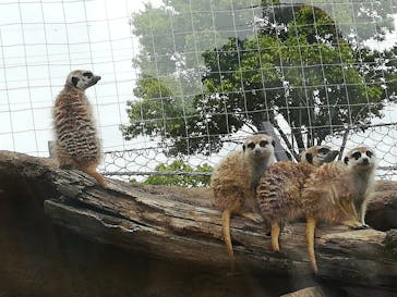 よこはま動物園ズーラシアに投稿された画像（2021/5/5）