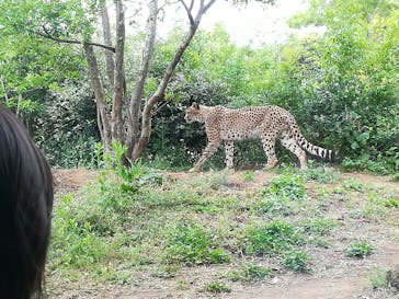 よこはま動物園ズーラシアに投稿された画像（2021/5/5）