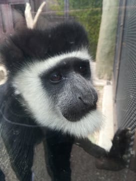 よこはま動物園ズーラシアに投稿された画像（2021/5/5）