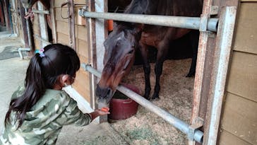 まかいの牧場に投稿された画像（2021/5/5）