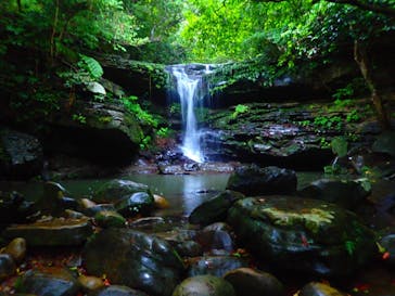 西表島 ADVENTURE PiPi（アドベンチャーピピ）に投稿された画像（2021/5/5）