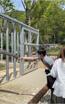 しろとり動物園に投稿された画像（2021/5/4）