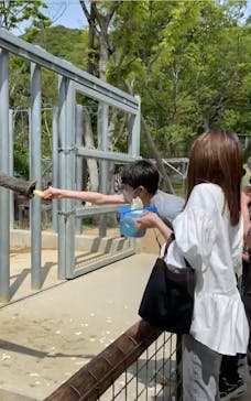 しろとり動物園に投稿された画像（2021/5/4）