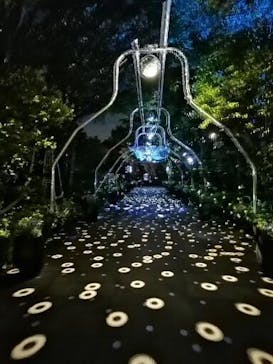 江の島シーキャンドルに投稿された画像（2021/5/5）