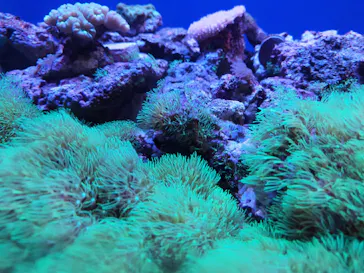 仙台うみの杜水族館に投稿された画像（2021/5/5）