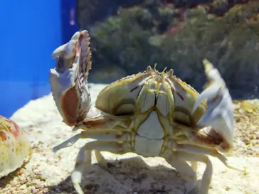 仙台うみの杜水族館に投稿された画像（2021/5/5）