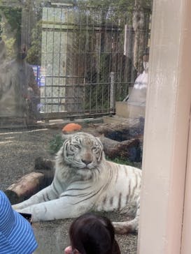 東武動物公園に投稿された画像（2021/5/5）