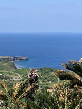 アスムイハイクスに投稿された画像（2021/5/5）