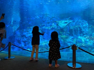 大分マリーンパレス水族館 「うみたまご」に投稿された画像（2021/5/5）