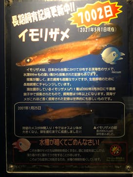 アクアワールド茨城県大洗水族館に投稿された画像（2021/5/5）