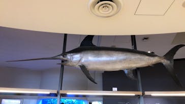 アクアワールド茨城県大洗水族館に投稿された画像（2021/5/5）