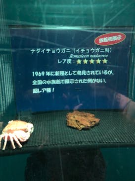 アクアワールド茨城県大洗水族館に投稿された画像（2021/5/5）