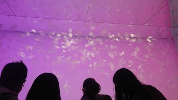 アクアワールド茨城県大洗水族館に投稿された画像（2021/5/5）