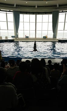 アクアワールド茨城県大洗水族館に投稿された画像（2021/5/5）