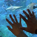 イドアートジュエリーに投稿された画像（2021/5/6）