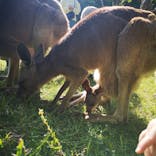 長崎バイオパークに投稿された画像（2021/5/6）