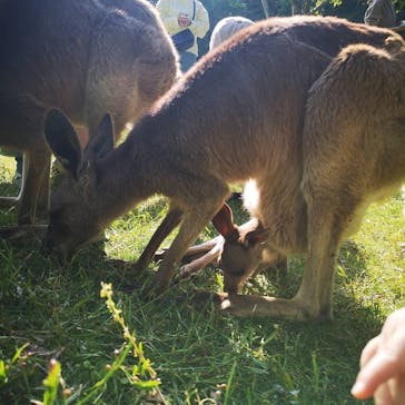 長崎バイオパークに投稿された画像（2021/5/6）