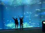 アクアワールド茨城県大洗水族館に投稿された画像（2021/5/6）