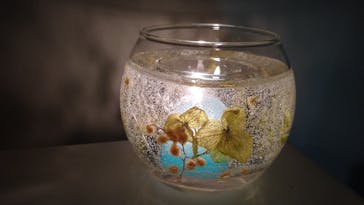 ずこうしつ〜sugamo〜に投稿された画像（2021/5/6）