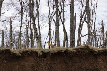 レイクサイドとうろに投稿された画像（2021/5/6）