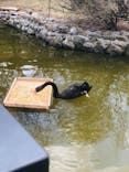 旭川市旭山動物園に投稿された画像（2021/5/6）